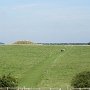 IMG_0193