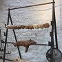 IMG_0237