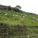 IMG_1250
